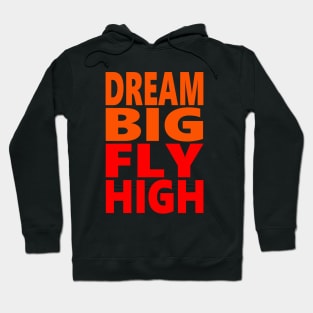 Dream big fly high Hoodie